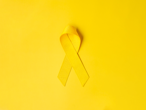 Setembro Amarelo. Sobre o Suic&iacute;dio.